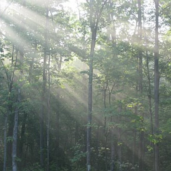 Meet your Posher, Gina - Picture 2 of 2